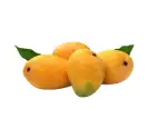 Guava
